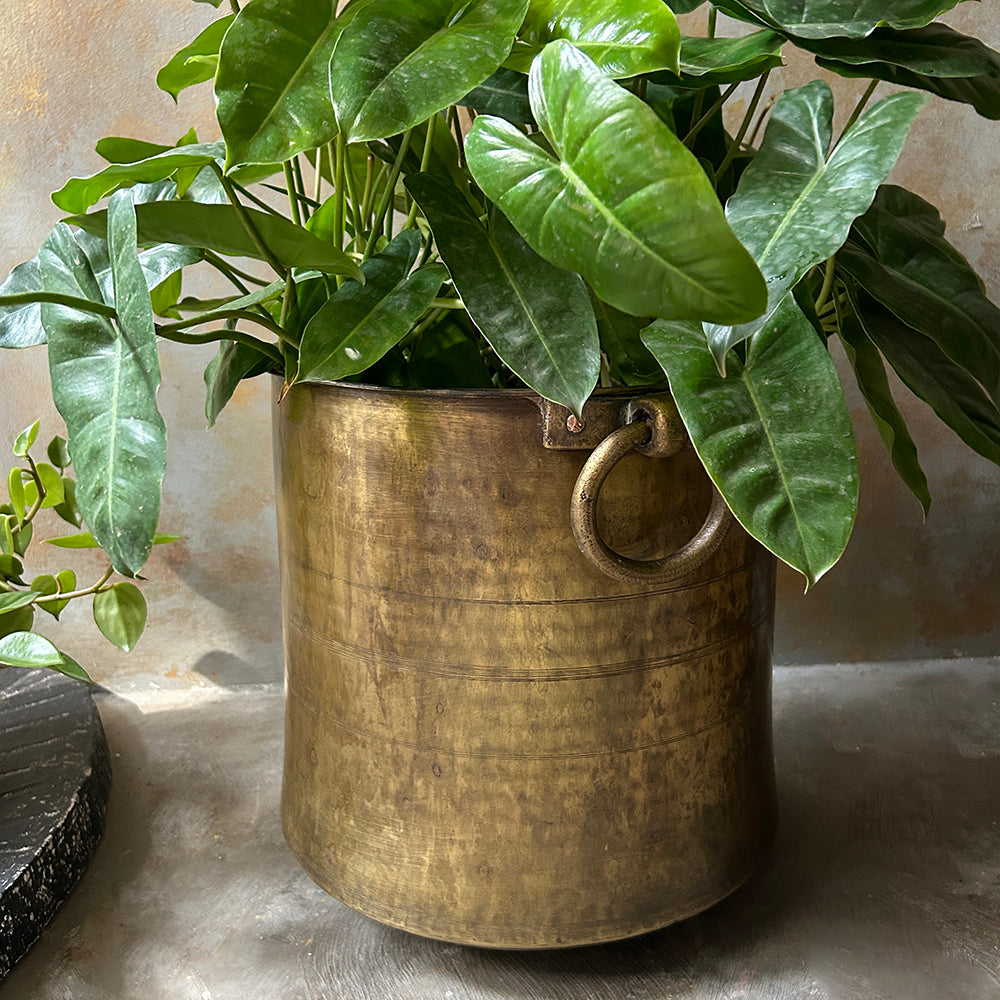 Antique Brass Planter Large Sunshine Boulevard