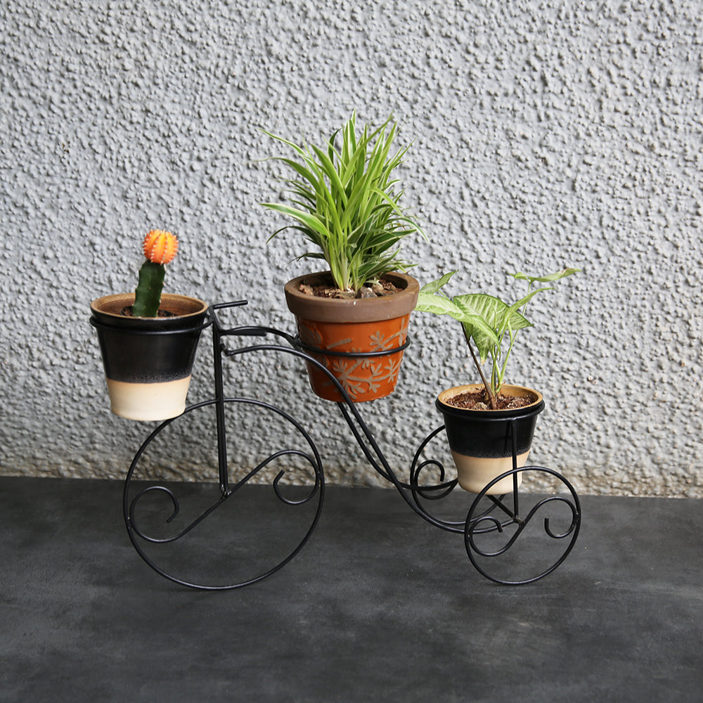 Cycle Planter Medium Sunshine Boulevard